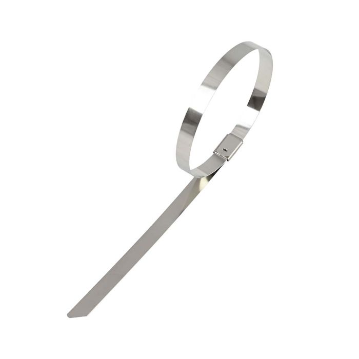 Stainless Steel Ties 300mm